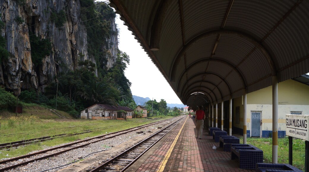 Gua Musang,Jungle Railway Station ,Malaysia