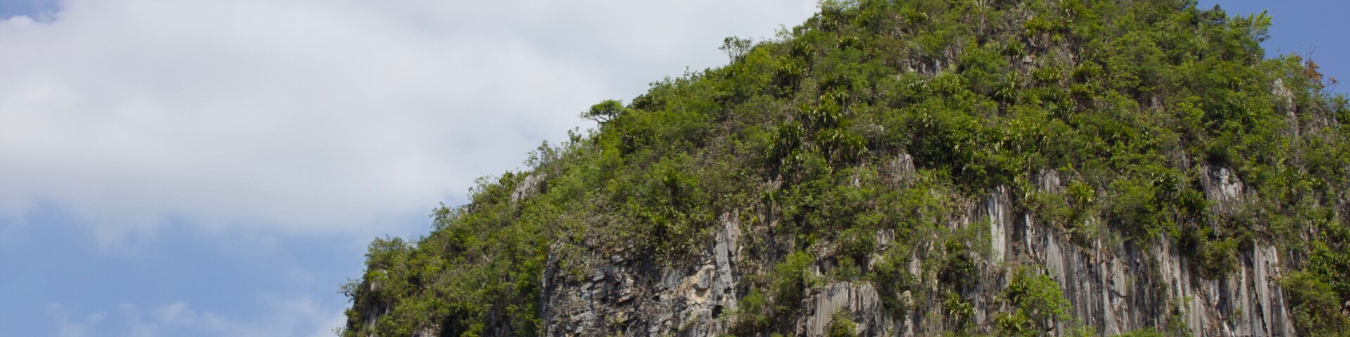 A rugged mountain with dense green vegetation and a prominent cave entrance.