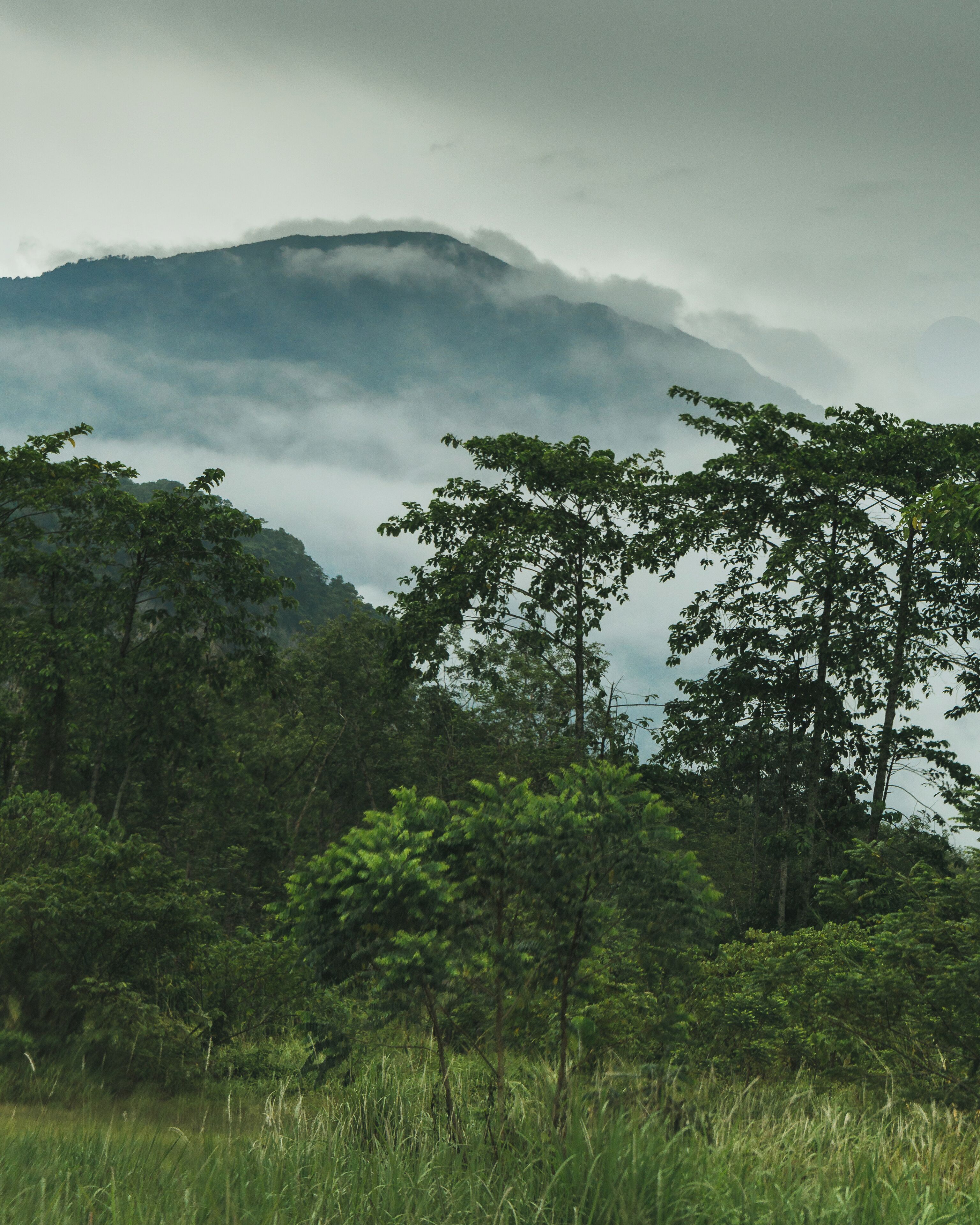 A view after the heavy rain.