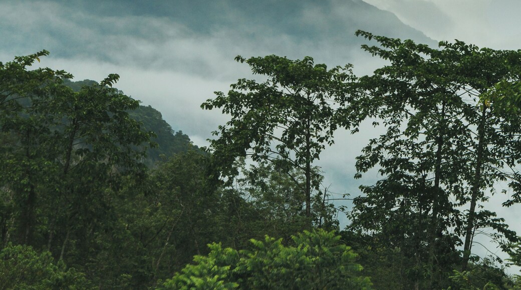 A view after the heavy rain.