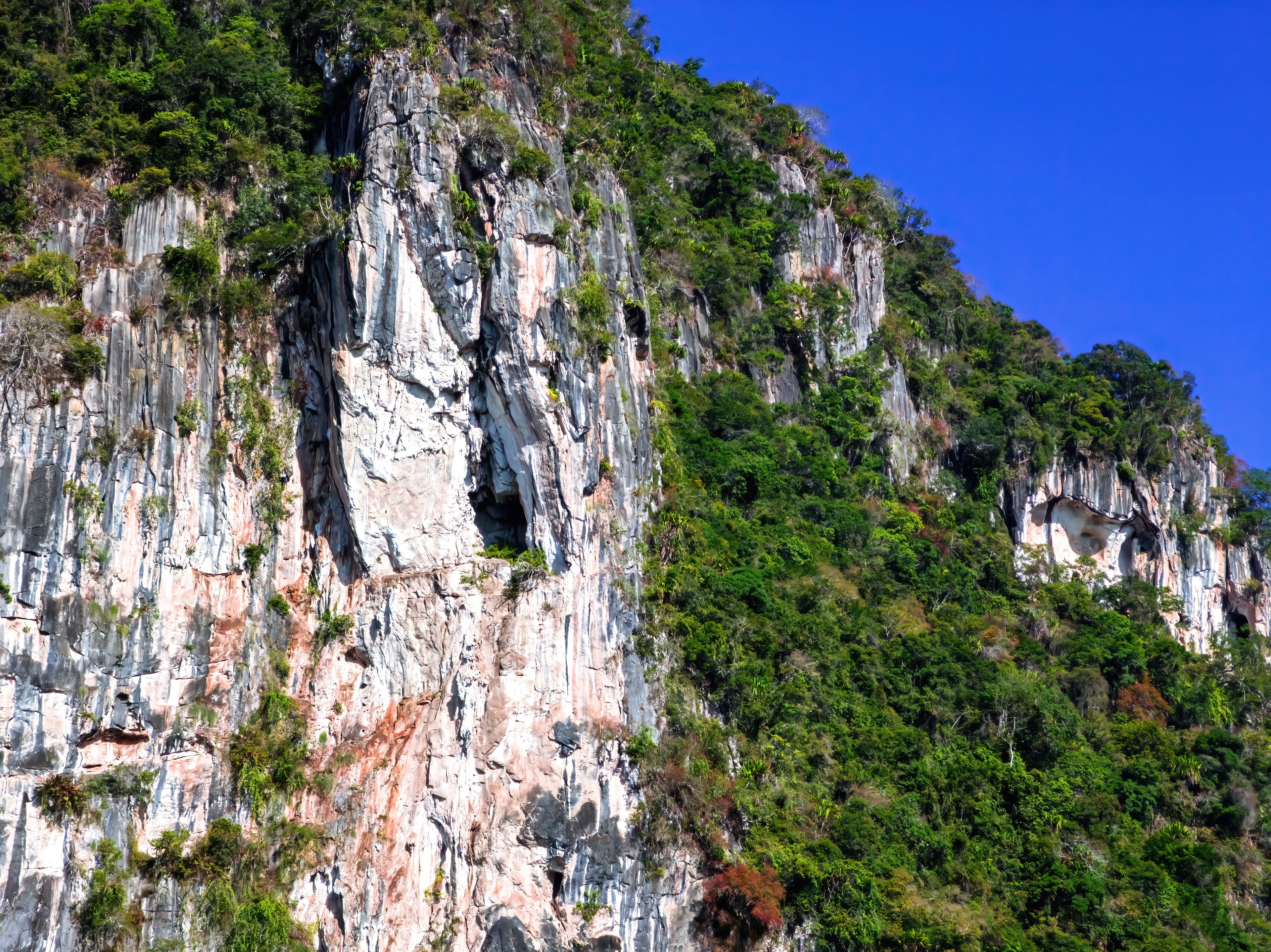 Beautiful nature landscape scenery of lime stone hill with green trees near Gua Musang, Kelantan, Malaysia