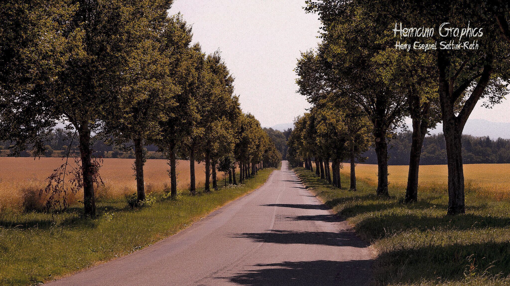 500px provided description: The avenue to Kirchentellinsfurt. []