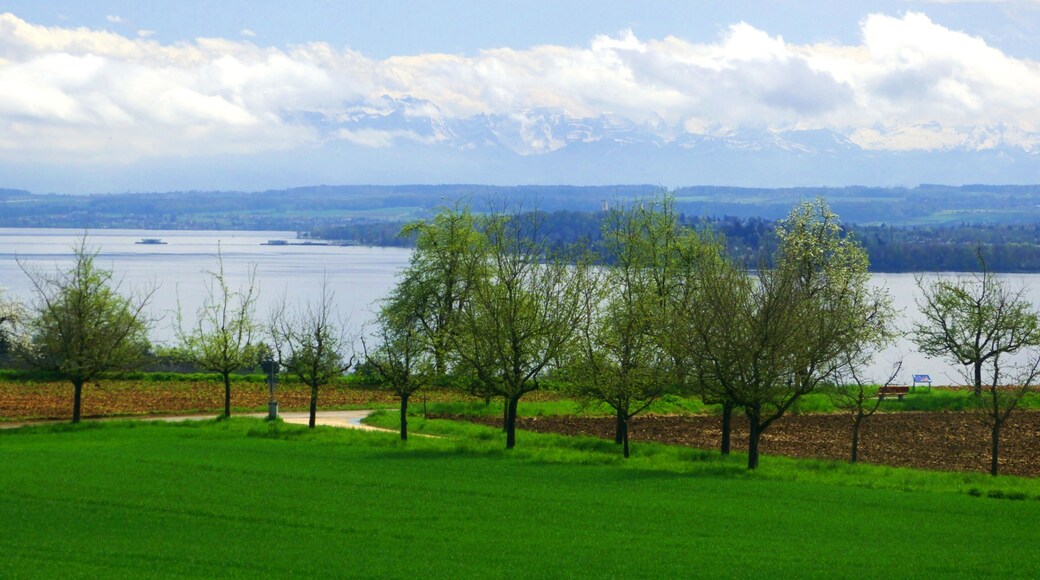 Lake Konstanz In Spring