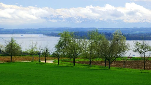 Lake Konstanz In Spring