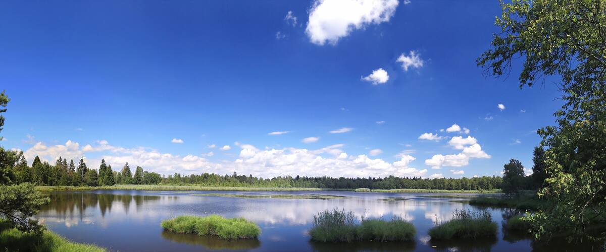 A calm lake surrounded by trees and a clear blue sky.