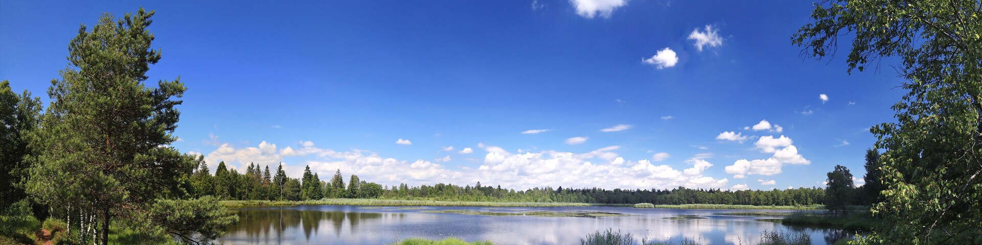A calm lake surrounded by trees and a clear blue sky.