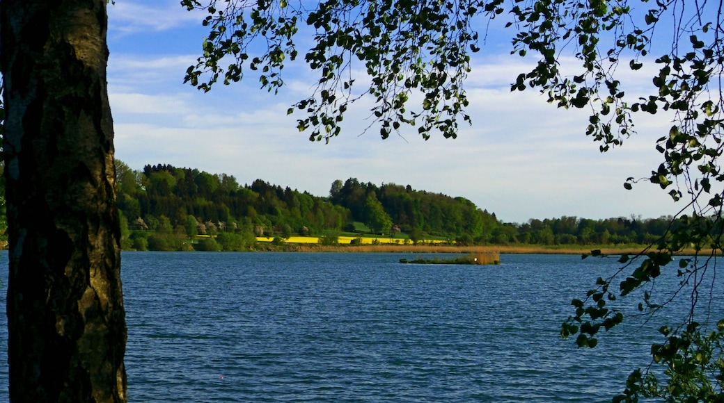 Zielfinger Vogelsee