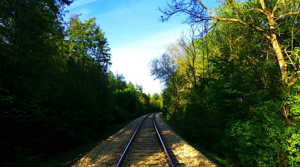 Hegau-Ablachtal-Bahn beim Steidlesee