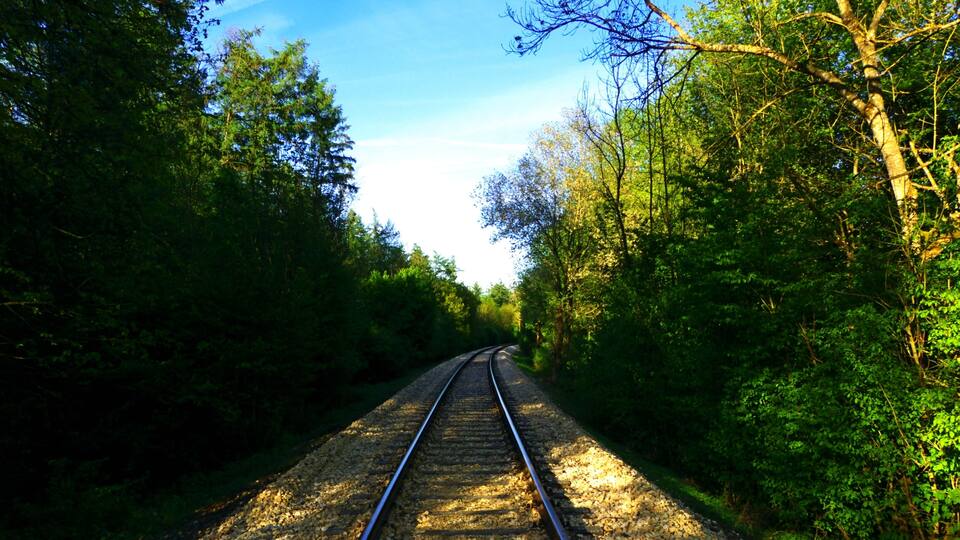 A railway track surrounded by dense greenery and trees.