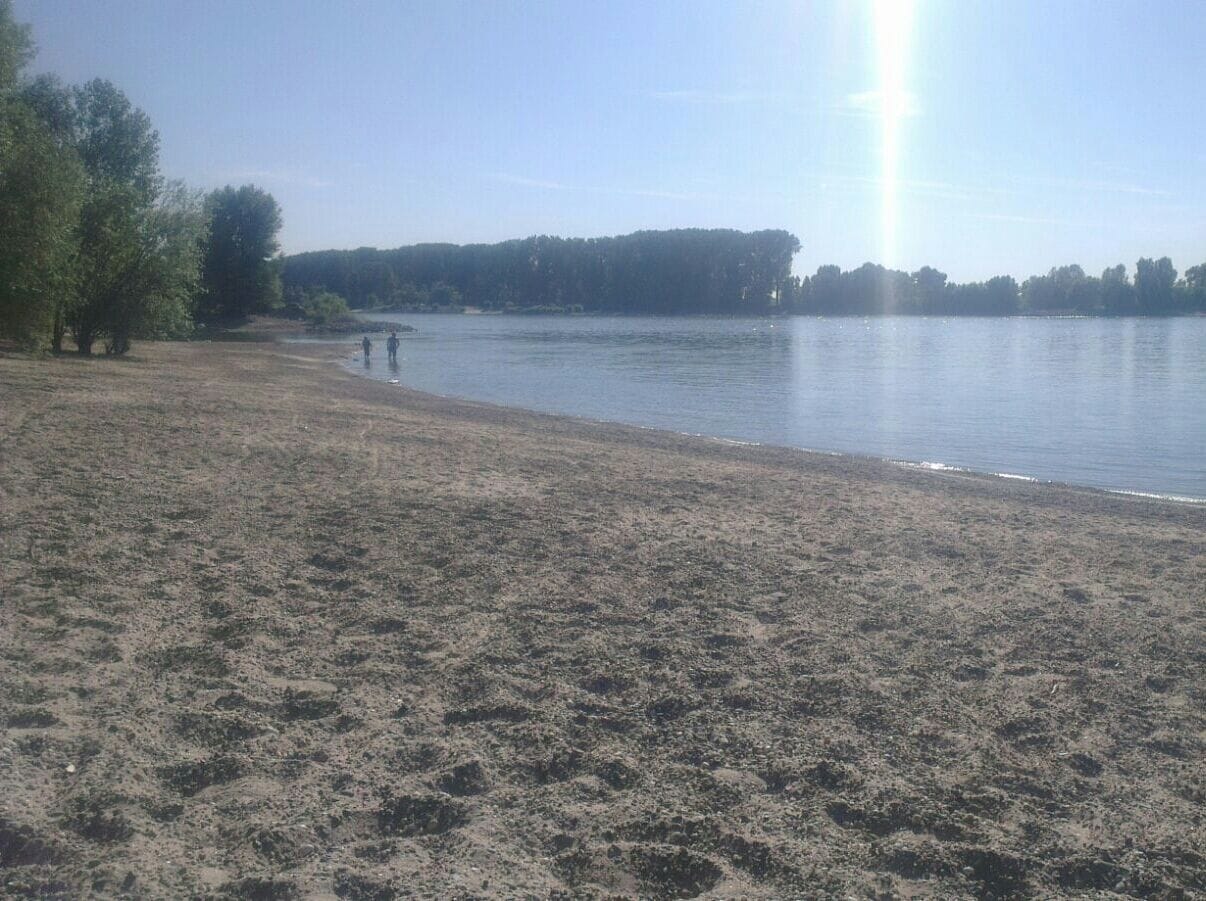 Rheinufer südwestlich von Gernsheim