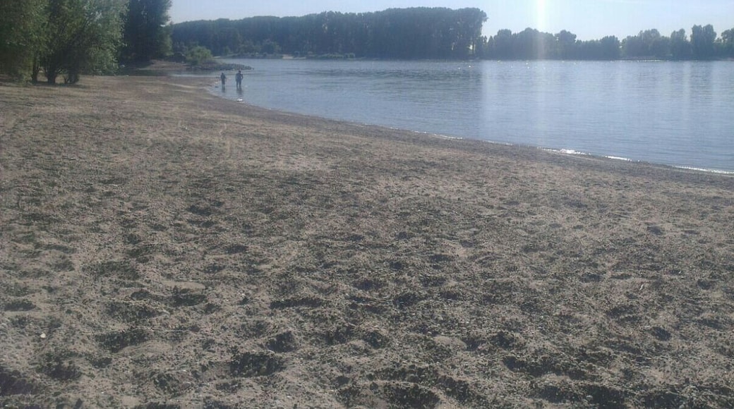 Rheinufer südwestlich von Gernsheim