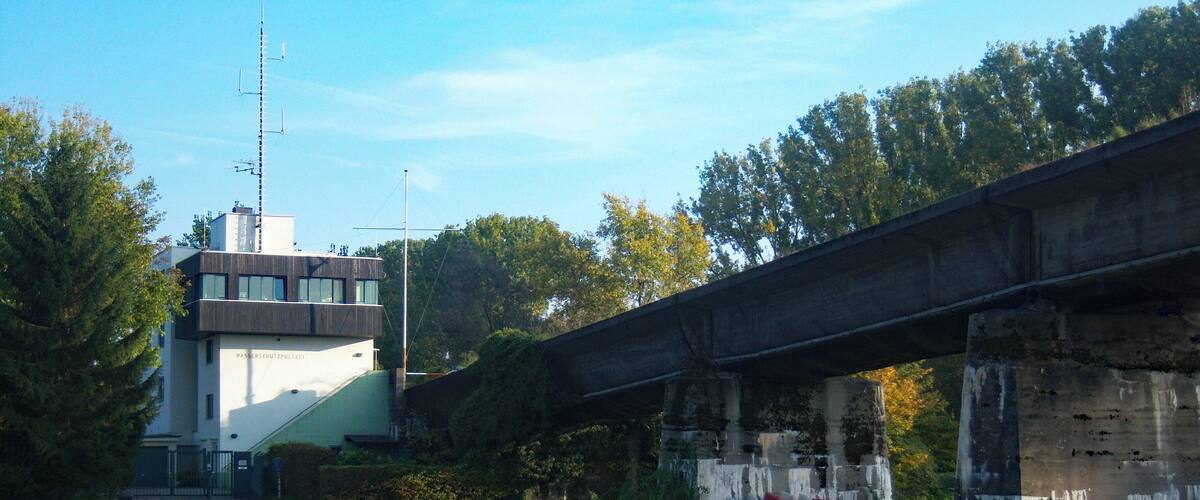A grassy area with a paved path, a modern building, and a concrete bridge.