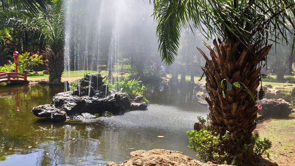 Un jardin paisible avec un bassin central, un pont et une cascade.