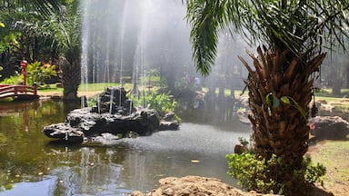 Linda fonte localizada em trabalho artístico de pedras em lago localizado em Caldas Novas no município de Goias, Brasil.