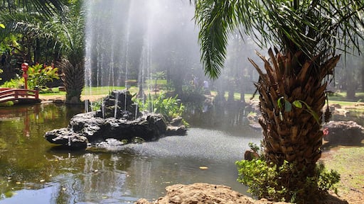 Linda fonte localizada em trabalho artístico de pedras em lago localizado em Caldas Novas no município de Goias, Brasil.