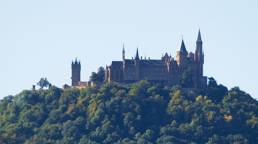 Our ongoing tour of German castles takes us to Hohenzollern Castle.
Wikipedia:
Hohenzollern Castle is the ancestral seat of the imperial House of Hohenzollern. The third of three hilltop castles on the site, it is located atop Mount Hohenzollern, above and south of Hechingen, on the edge of the Swabian Jura of central Baden-Württemberg, Germany
#instone