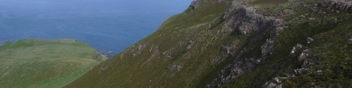 Beinn Bhuidhe escarpment A fantastic variety of wild flowers on this hill
