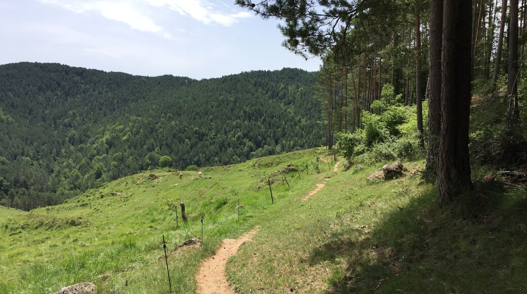Campdevànol, Province of Girona, Spain