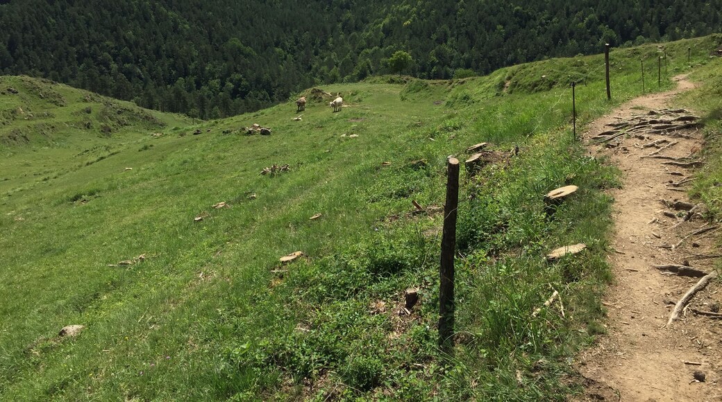 Campdevànol, Province of Girona, Spain