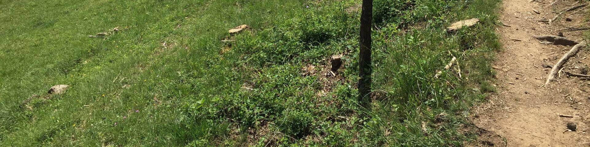 CampdevĂ nol, Province of Girona, Spain