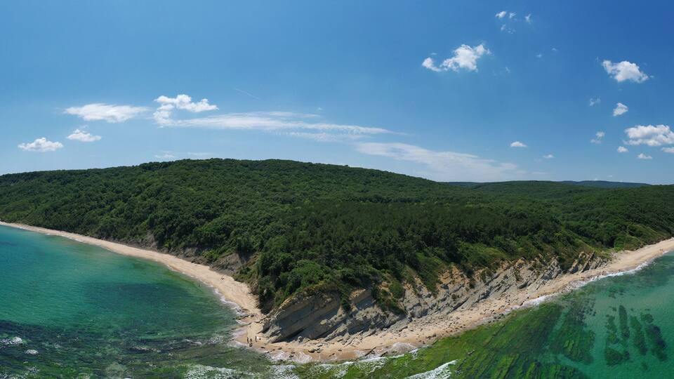 An aerial view of a coastal island with a sandy beach and dense forest.