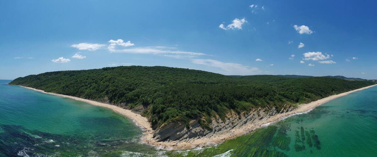 An aerial view of a coastal island with a sandy beach and dense forest.