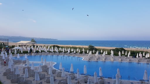 Looks best without any guests