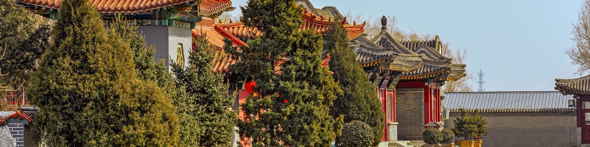 Arquitectura china tradicional con techos ornamentados y árboles en macetas en un patio.