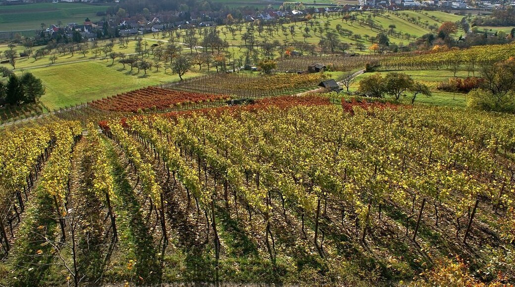 Ötisheim Blick von der Chartaque