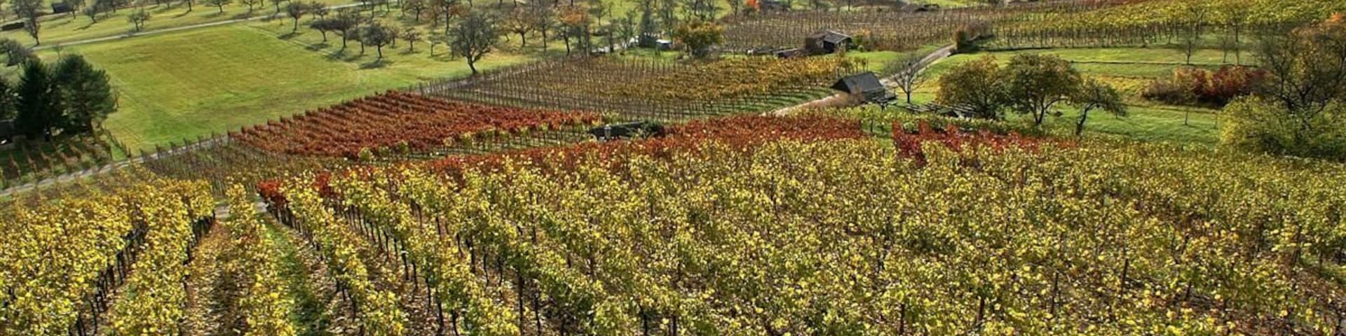 Ătisheim Blick von der Chartaque