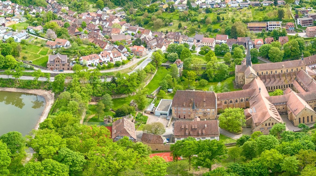 An aerial view of a town with a castle, a lake, and surrounding greenery.