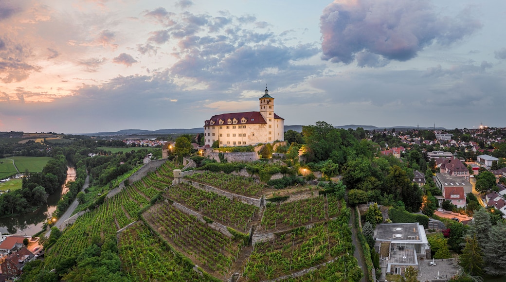 A castle on a hill overlooking a town and vineyards.