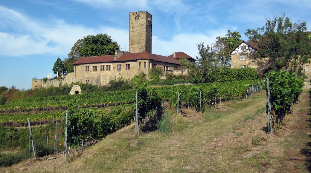 Die Ravensburg bei Sulzfeld (Baden)