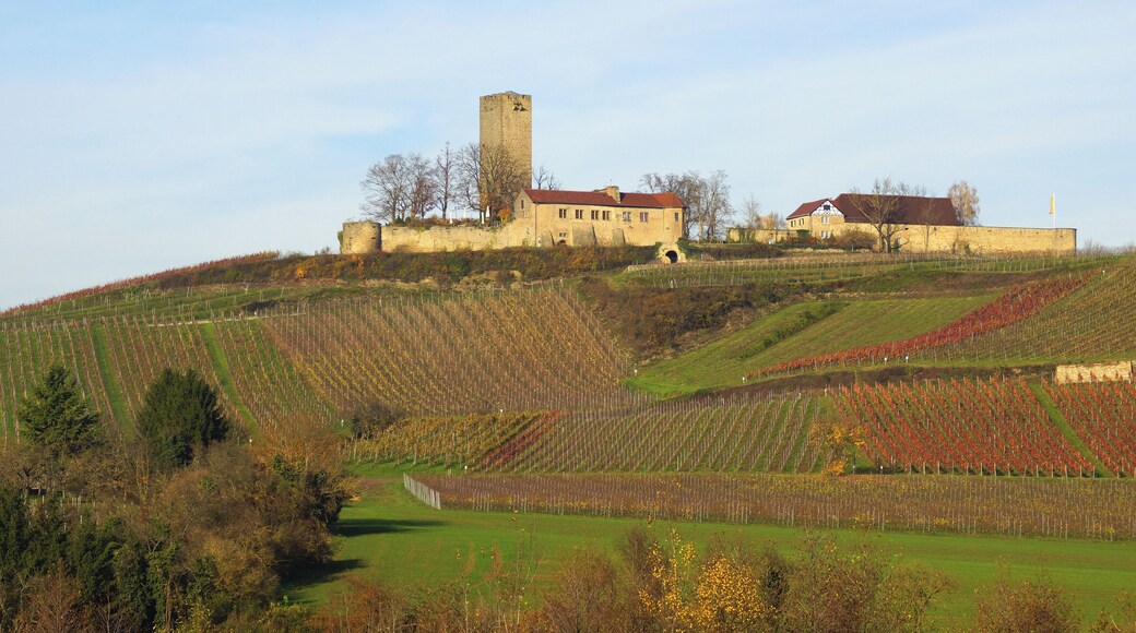 Sulzfeld, Ravensburg 11/2014