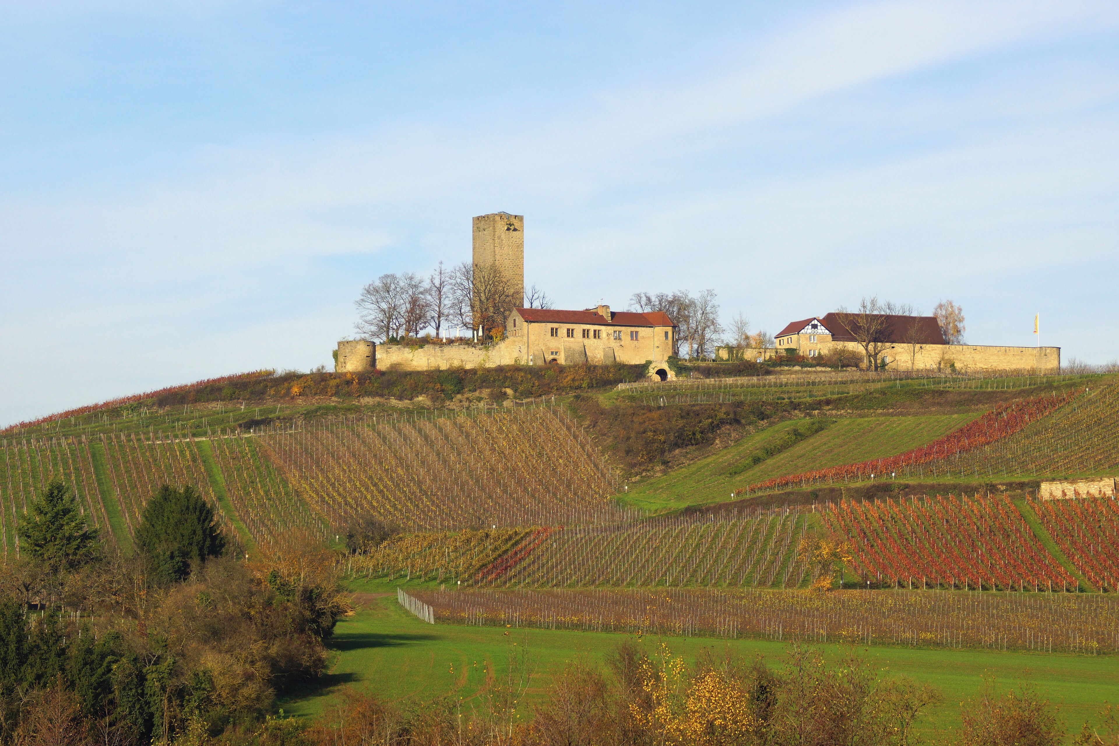 A castle on a hill with vineyards.