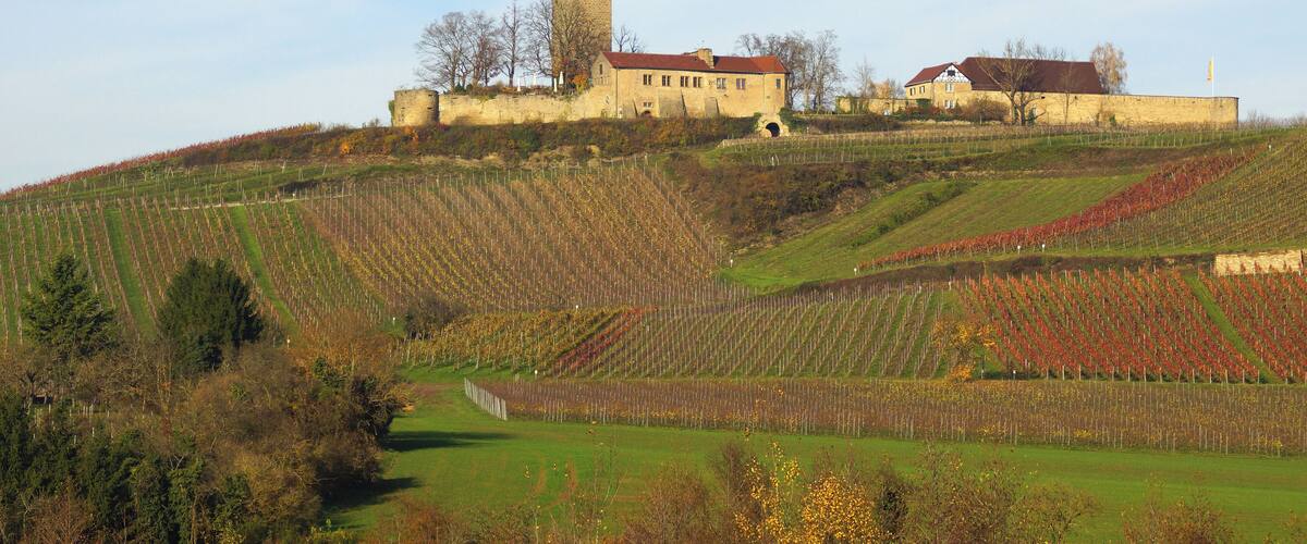 A castle on a hill with vineyards.