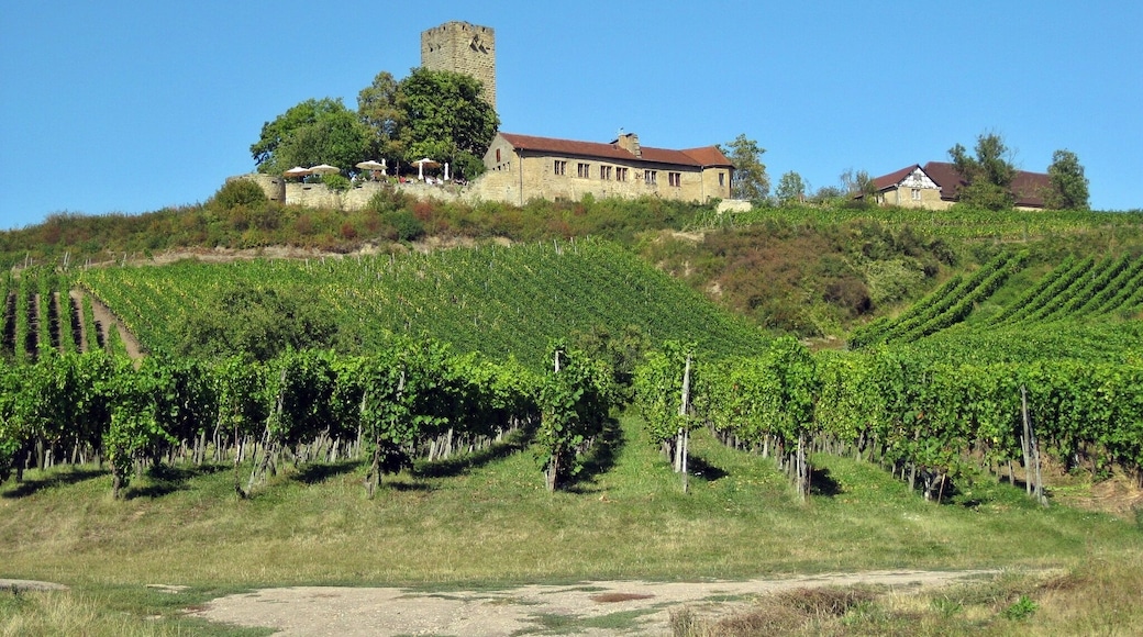 Die Ravensburg bei Sulzfeld (Baden)