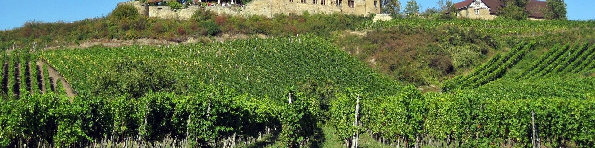 Die Ravensburg bei Sulzfeld (Baden)