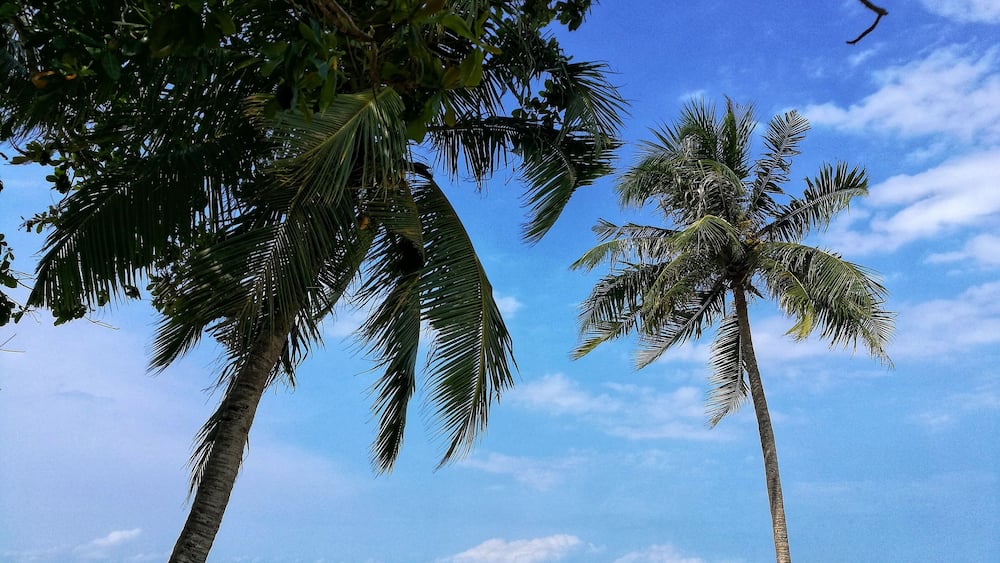 A random couple on a random shot
#beach #bluethewarmestcolor
#LifeAtExpedia
#Beaches