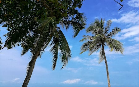 S$22 Cheap Flights to Desaru Expedia