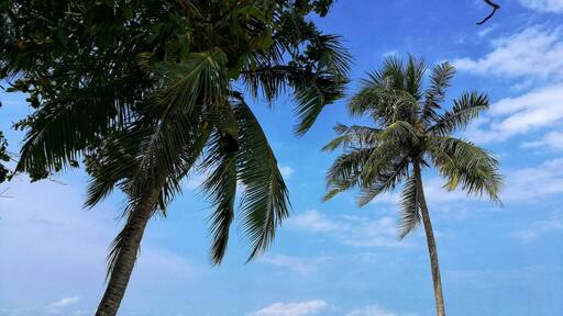 A random couple on a random shot
#beach #bluethewarmestcolor
#LifeAtExpedia
#Beaches