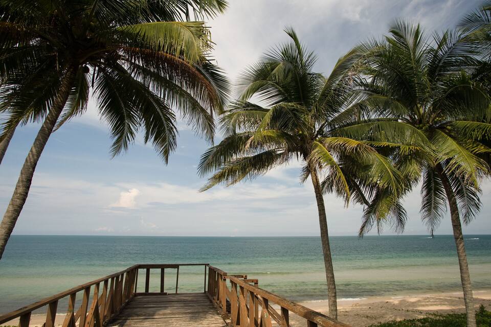 Una pasarela de madera que conduce a una playa con palmeras y cielo despejado.