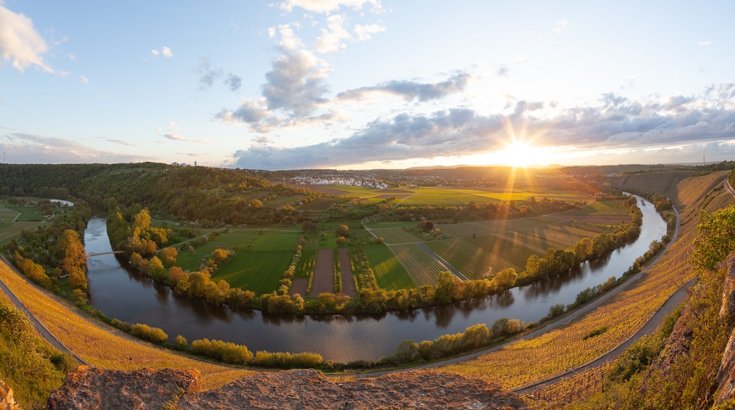 A river winding through a valley with fields and a town in the distance.