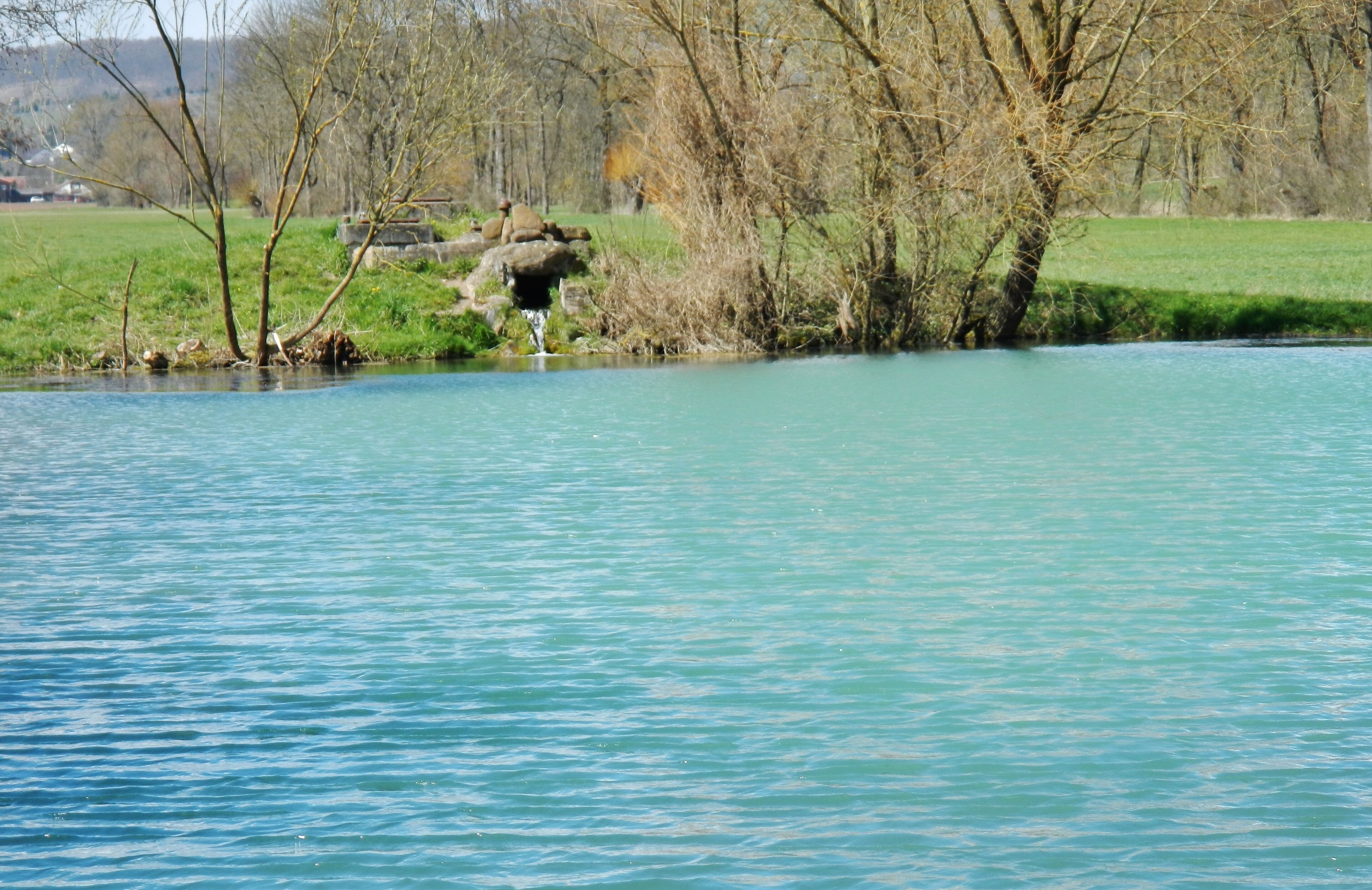 A river with clear blue water, surrounded by trees and a grassy field.