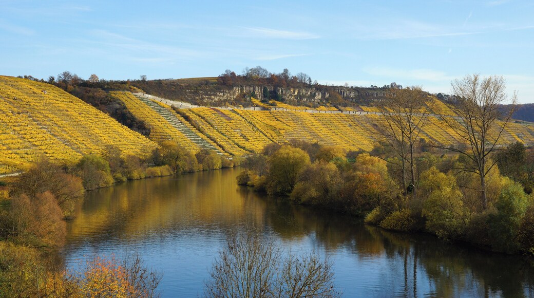 Besigheim, Felsengärten 11/2015