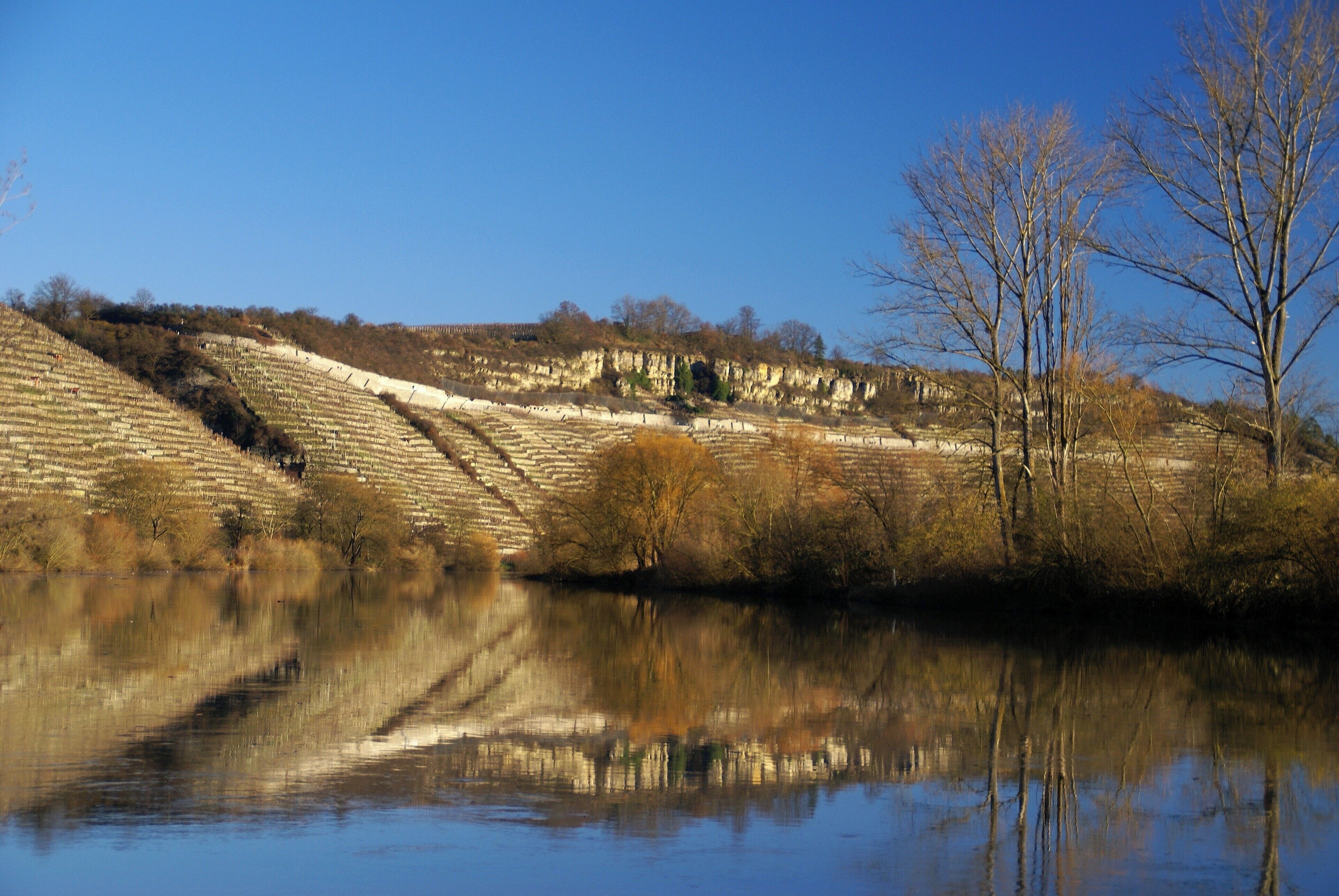 Felsengärten 01/2011