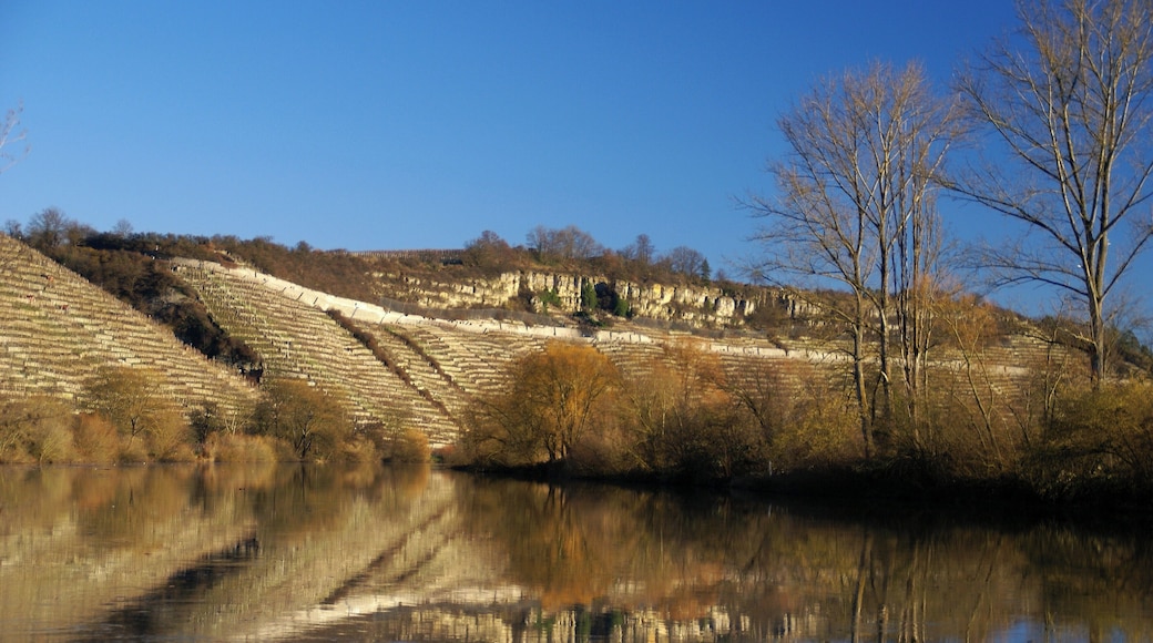 Felsengärten 01/2011