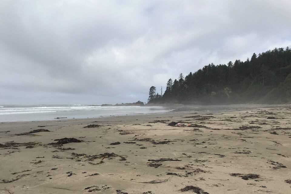 En strand med tang på sanden, bølger i havet og en skovklædt bakke i baggrunden.