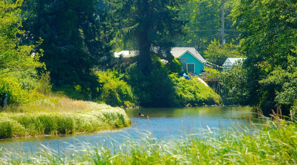 Clallam Bay fasiliteter samt liten by eller landsby og elv eller bekk