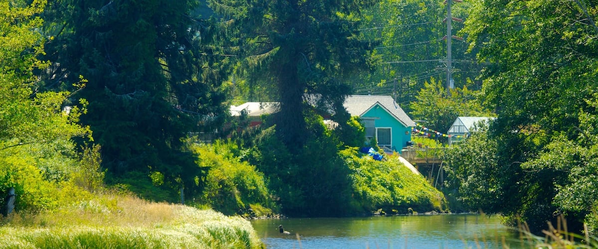 A river with a house on a hill, surrounded by greenery.